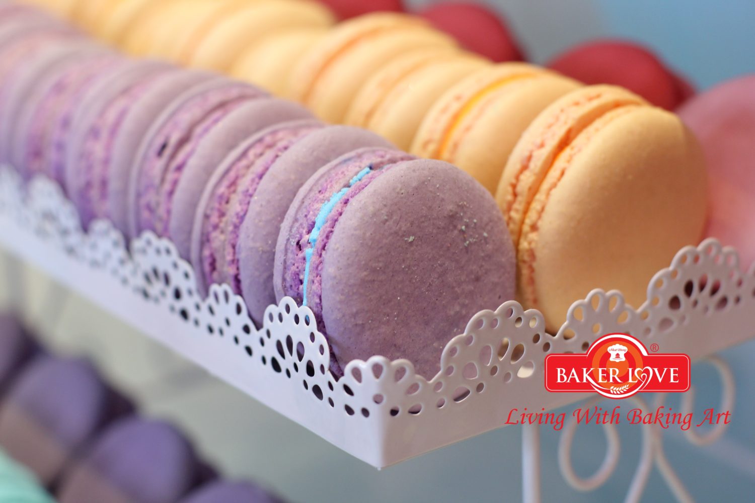 Bánh Macaron - Kiêu sa như một quý cô khó tính!! - Trung Tâm Dạy Nghề ...