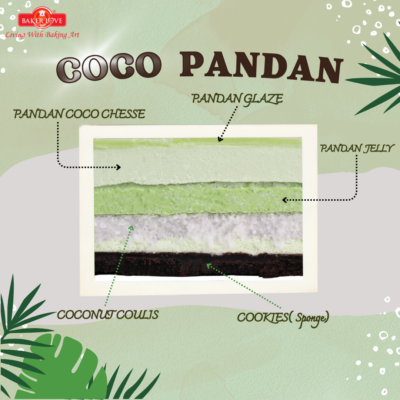 Coco Pandan